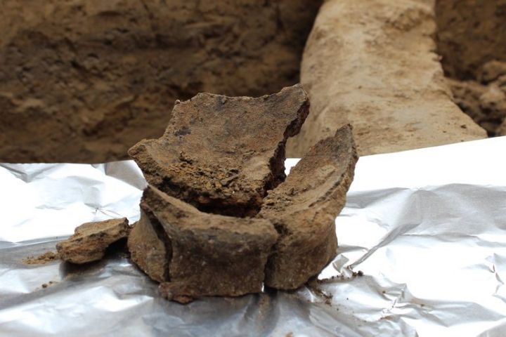 14-8000-year-old-wine-pot-georgia_Judyta-Olszewski_infographic.jpg