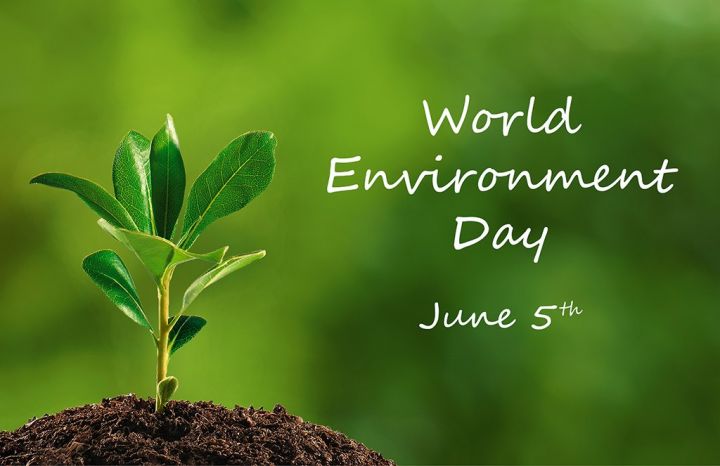 World-Environment-Day-HD-wallpaper.jpg