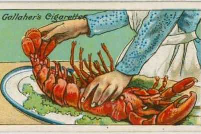 b5817a495f1906f9366f055b64dcbe67-cooked-lobster-lobster-boil.jpg