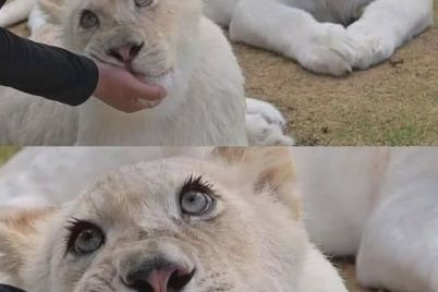 cute.jpg