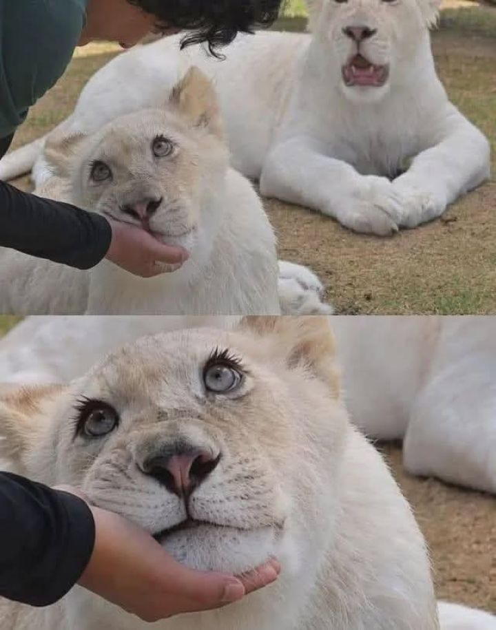 cute.jpg