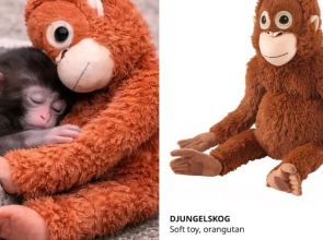 ကမ္ဘာတစ်ဝှမ်းနာမည်ကြီးနေတဲ့ မျောက်လေးပန်ချီရဲ့ ၁၉ ဒေါ်လာတန်အရုပ်လေးက ဈေးကွက်မှာ ဈေးနှုန်း စင်ကာပူဒေါ်လာ ၄၄၂ ဖြစ်နေ