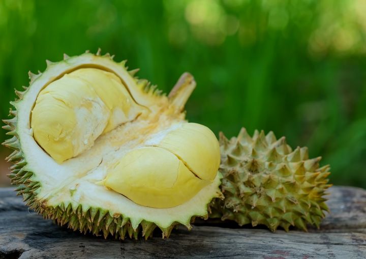 durian-king-of-fruits-for-summer-PZMDQB4.jpg