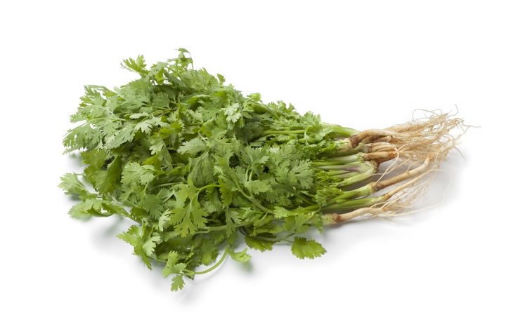 fresh-cilantro-with-roots.jpg