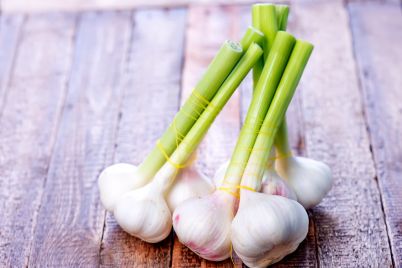 garlic-on-wooden.jpg
