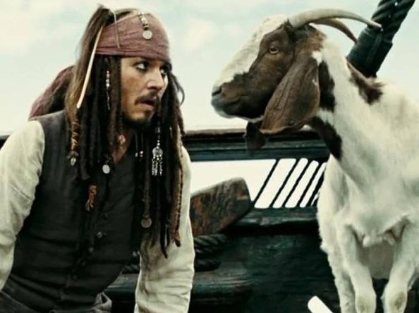 Pirates of the Caribbean 6 ဇာတ်ကားမှာ ပါဝင်ဖို့ ဆွေးနွေးပြောဆိုနေတဲ့ မင်းသားကြီး ဂျွန်နီဒက်ပ်