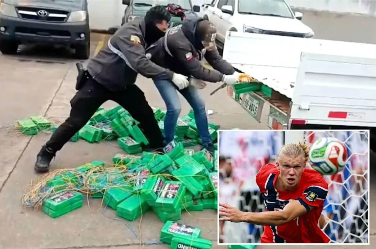 kok.jpg