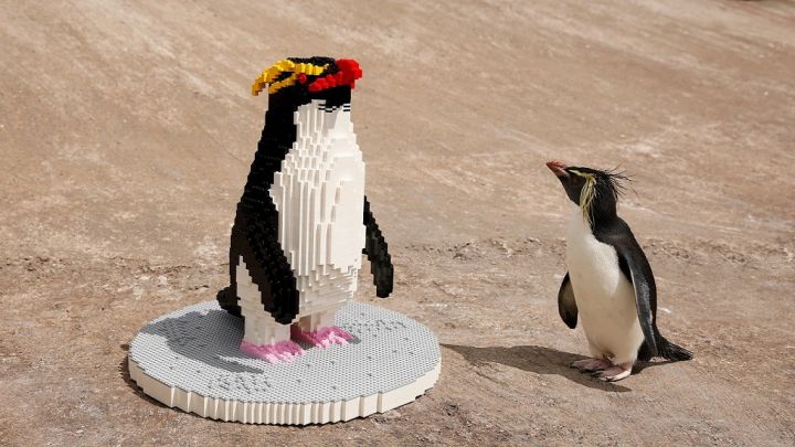 lego-penguin.jpg