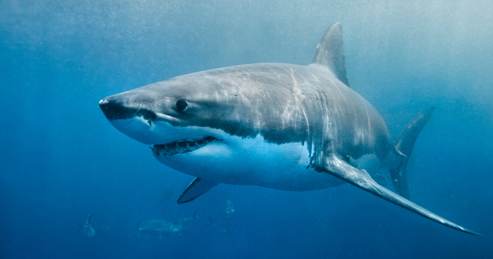 newimagesize-2026-05-16T214405.937.png