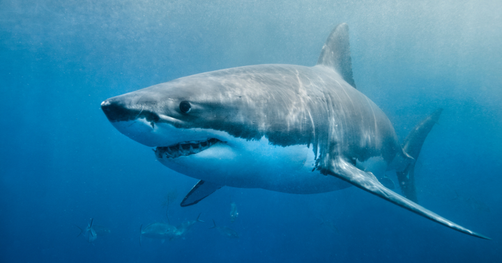newimagesize-2026-05-16T214405.937.png