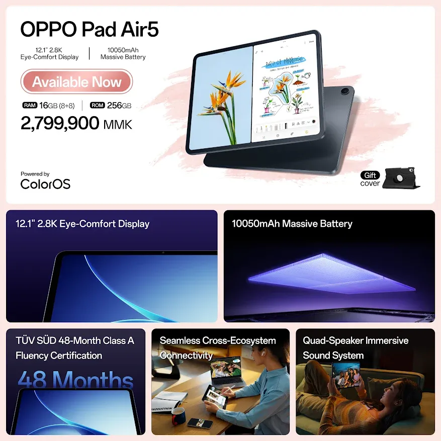 p53.webp