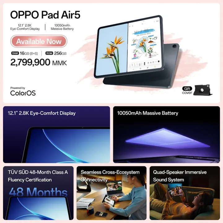 p53.webp