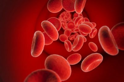 red-cells-in-bloodstream-PNBDBSC.jpg