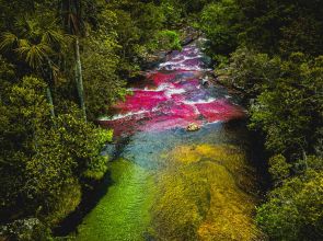 ကမ္ဘာမြေပေါ်က သက်တန့်မြစ် (သို့မဟုတ်) Caño Cristales မြစ်