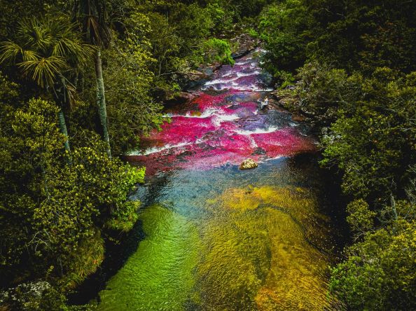 ကမ္ဘာမြေပေါ်က သက်တန့်မြစ် (သို့မဟုတ်) Caño Cristales မြစ်