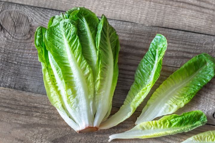 romaine-lettuce.jpg