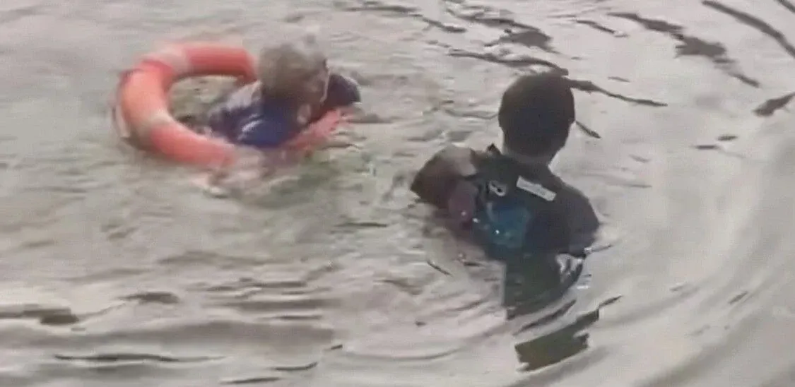 swim.webp