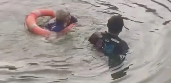 swim.webp