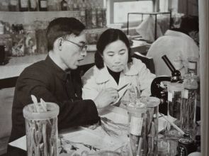 နှစ်သက်တမ်း ၁၆၀၀ ရှိတဲ့ ဆေးကျမ်းကနေ ငှက်ဖျားဆေး ရှာဖွေဖော်စပ်နိုင်ခဲ့တဲ့ တရုတ်ဆေးပညာရှင်